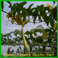 Hdpe Vineyard plant support netting